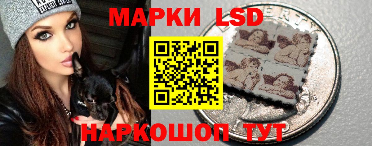 ЛСД экстази ecstasy Кузнецк