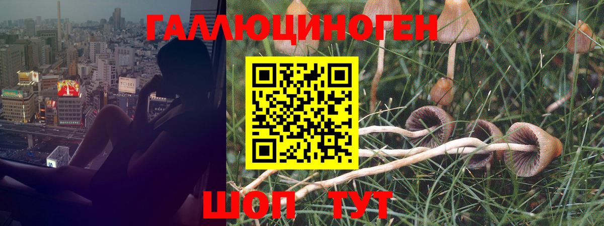 Кузнецк  Галлюциногенные грибы ЛСД  Вход с VPN 