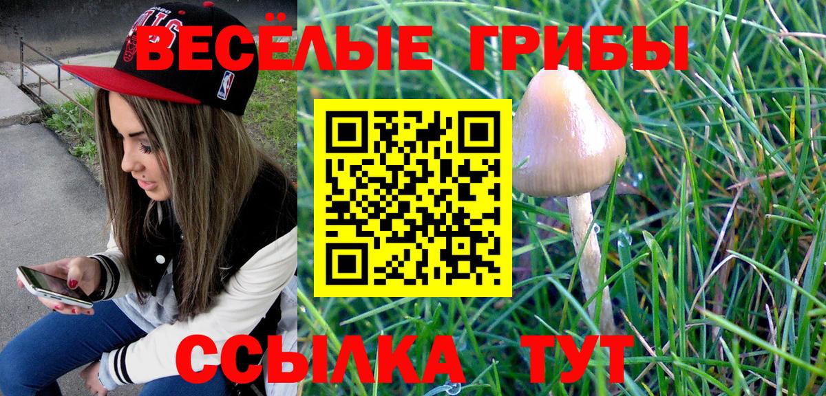 Псилоцибиновые грибы Psilocybine cubensis Кузнецк